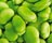 Braod Bean